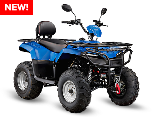 Квадроцикл IRBIS ATV 200(2025)