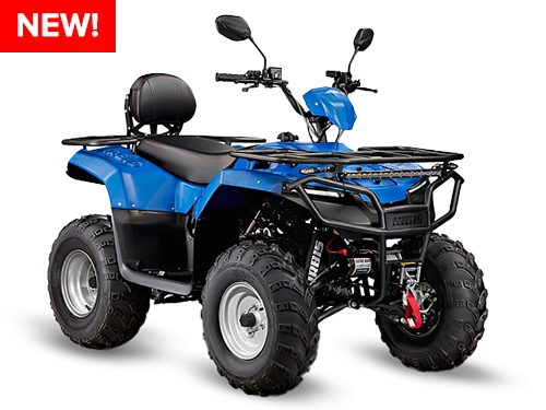 Квадроцикл IRBIS ATV 200(2025)