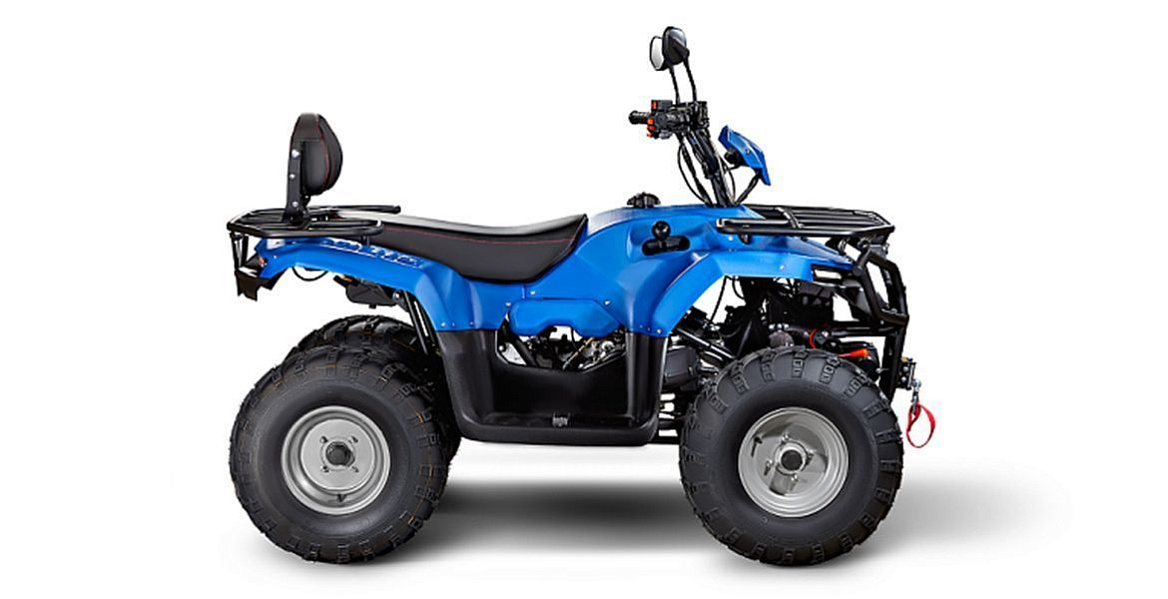 Внешний вид Квадроцикл IRBIS ATV 200(2025) - 2