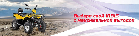Квадроцикл IRBIS ATV 200(2025)