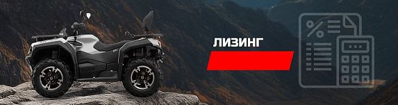 Квадроцикл Hisun GUARDIAN 550 L