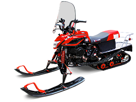 Снегоход IRBIS Dingo T200