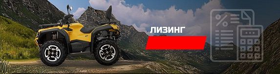 Квадроцикл Hisun GUARDIAN 750 S