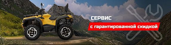 Квадроцикл Hisun GUARDIAN 750 S