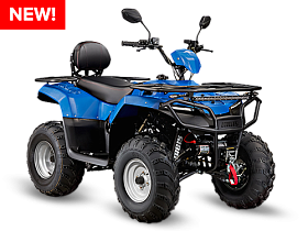 Квадроцикл IRBIS ATV 200(2025)