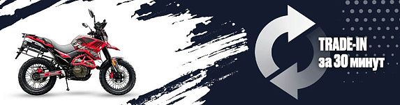 Мотоцикл FUEGO TEKKEN 3.0 EFI