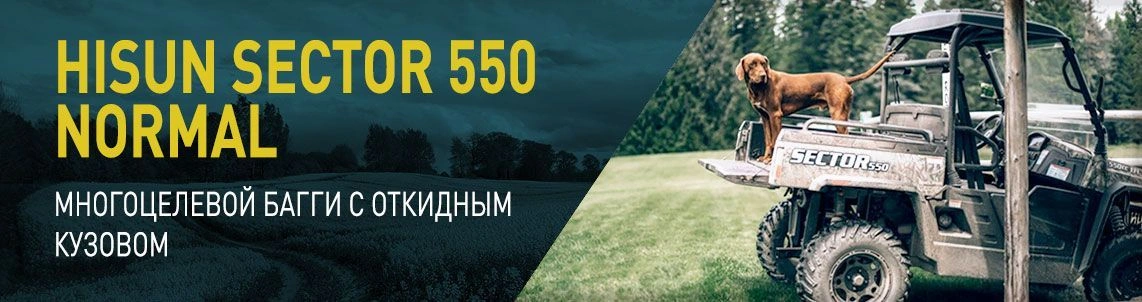 Багги HISUN (ХАЙСАН) SECTOR 550 NORMAL