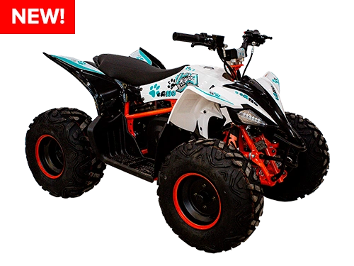 Электрический квадроцикл KAYO EA110