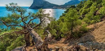 ТОП-5 мест в России для летнего отпуска в автодоме ТОРГМАШ Travel